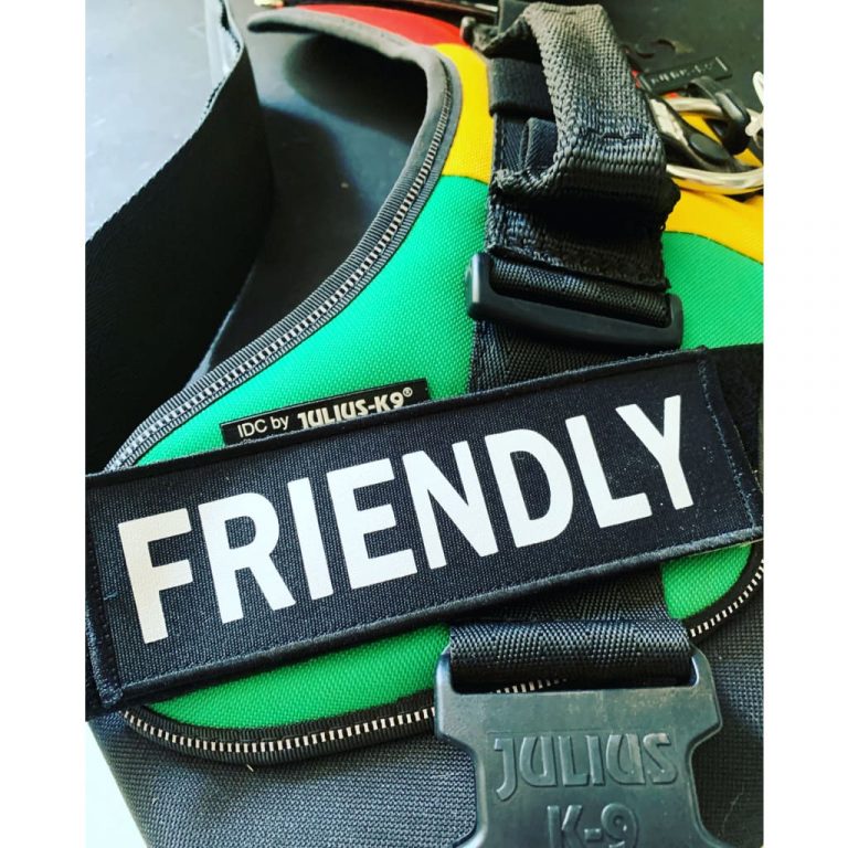 custom-canvas-id-patches-599