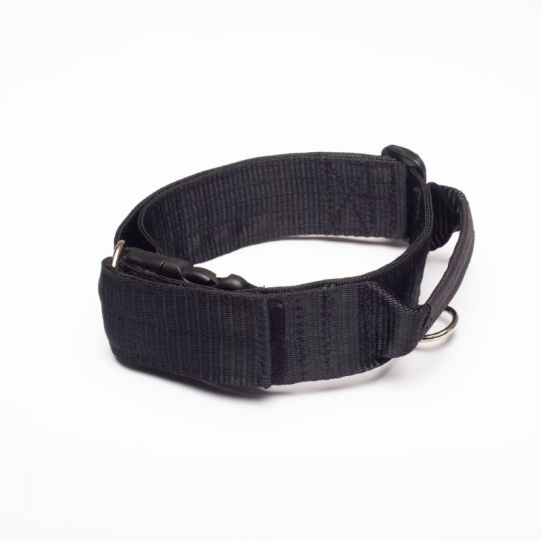 war-dog-50mm-handle-collar-apparel-765