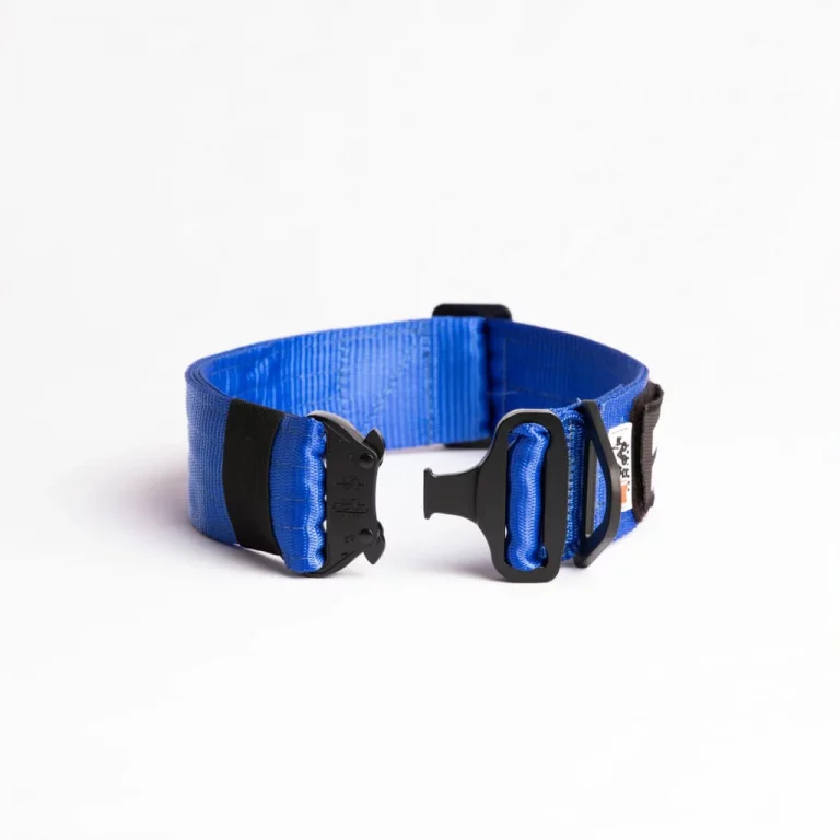 war-dog-foxtrot-rigid-collar-50mm-995