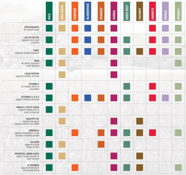 Diamond Naturals Lamb & Rice Dog Food superfoods chart showing kale, chia seeds, pumpkin, blueberries, spinach, and other nutrient-rich ingredients with their health benefits
