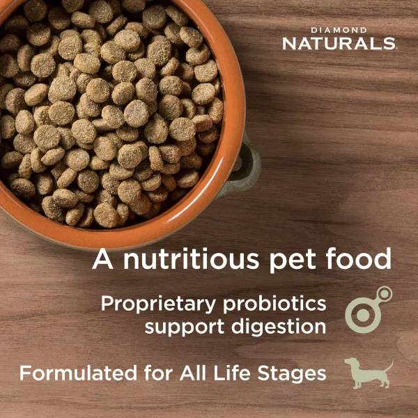 Bowl of Diamond Naturals Skin & Coat Salmon & Potato Dog Food kibble with message highlighting probiotics for digestion and all life stages