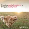 Diamond Naturals Skin and Coat All Life Stages Dog Formula - Rich in Salmon and Potato