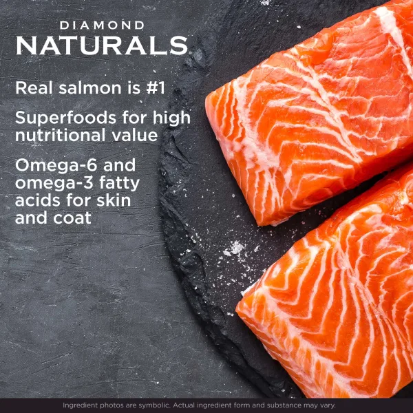 Fresh salmon fillets on slate with Diamond Naturals message highlighting real salmon protein, superfoods, and omega fatty acids for skin and coat health