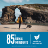 Woman walking dog on beach with Orijen Six Fish WholePrey diet message showing 85% animal ingredients