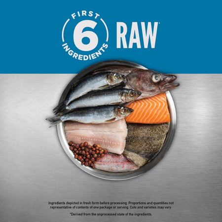 Plate of six raw fish and seafood cuts showing Orijen Six Fish recipe’s fresh protein ingredients