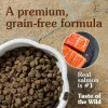 Taste of the Wild Canine Pacific Stream Adult Formula with Smoked Salmon