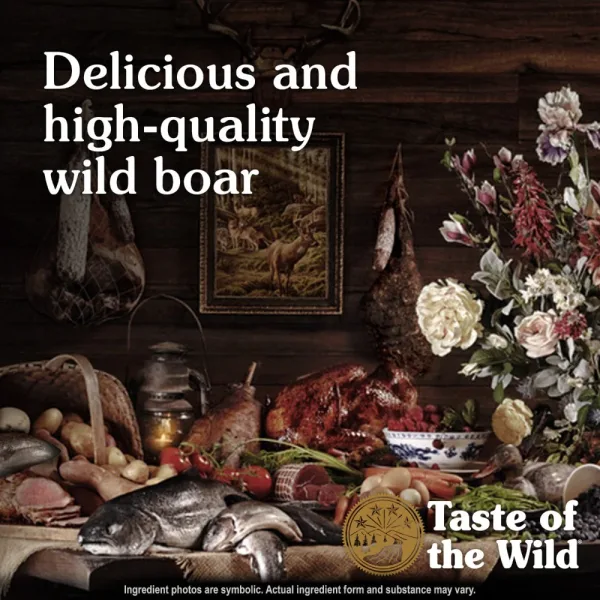 Taste of the Wild Canine Southwest Canyon All Life Stages Formula with Wild Boar