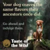Taste of the Wild Canine Southwest Canyon All Life Stages Formula with Wild Boar