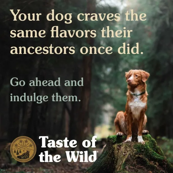 Taste of the Wild Canine High Prairie Adult Formula with Bison & Roasted Venison
