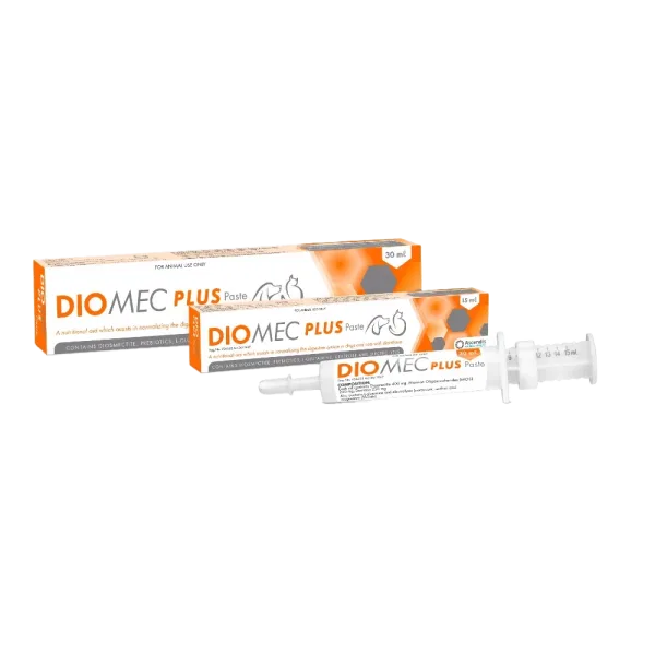 Diomec Plus Prebiotic Paste for Dogs & Cats