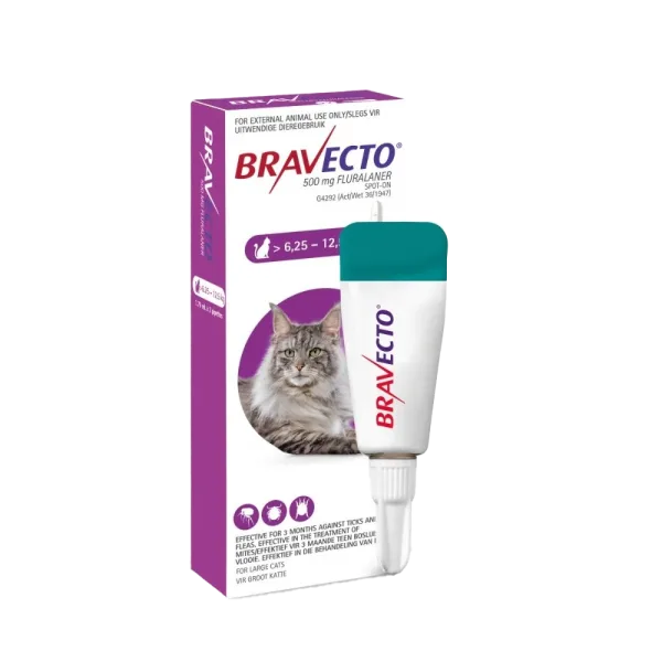 Bravecto Spot-On Cat
