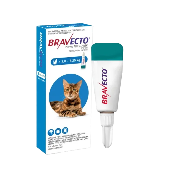 Bravecto Spot-On Cat