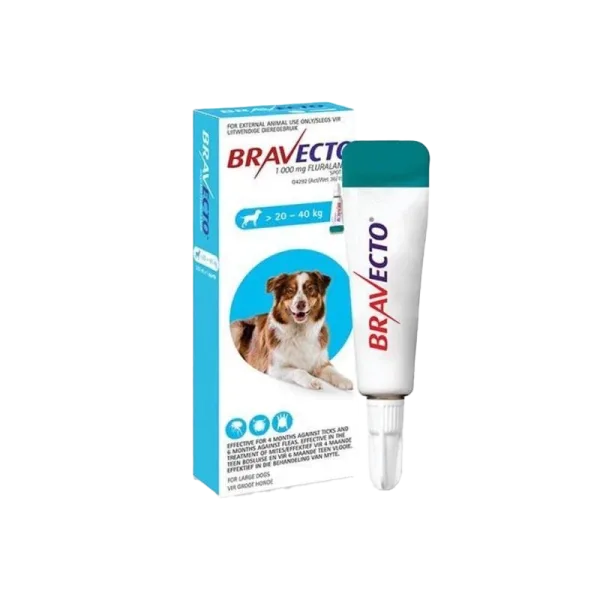 Bravecto Spot-On Dog