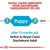Royal Canin Dachshund Puppy Dry Food