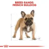 BHN FRENCH BULLDOG ADULT5 Royal Canin French Bulldog Adult Dry Food