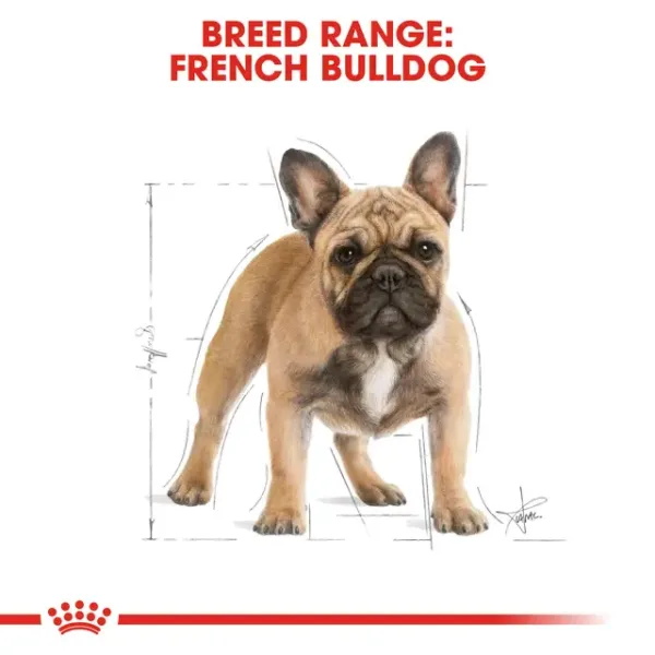 BHN FRENCH BULLDOG ADULT5 Royal Canin French Bulldog Adult Dry Food