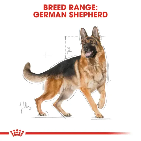 BHN GERMAN SHEPHERD ADULT5 Royal Canin German Shepherd Adult Dry Food