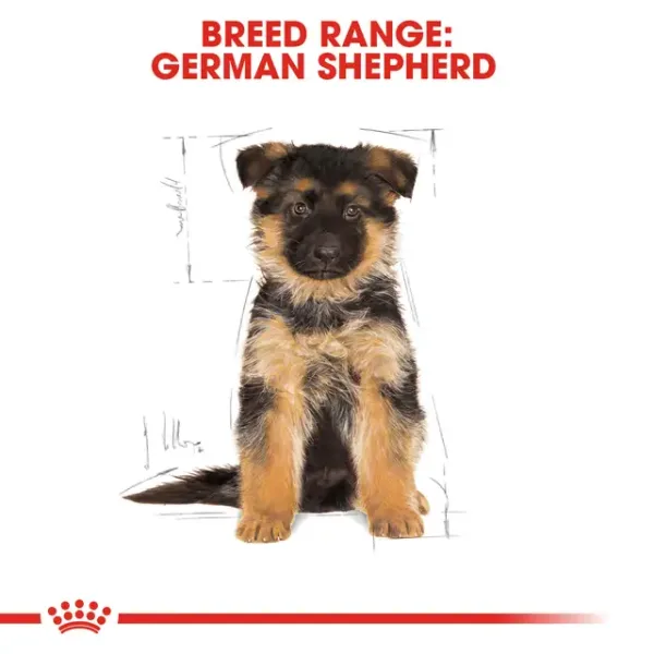 Royal Canin German Shepherd Puppy Dry Food