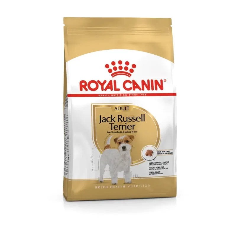 BHN JACK RUSSEL ADULT1