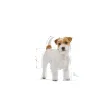 BHN JACK RUSSEL ADULT4 Royal Canin Jack Russell Adult Dry Food