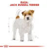 BHN JACK RUSSEL ADULT5 Royal Canin Jack Russell Adult Dry Food