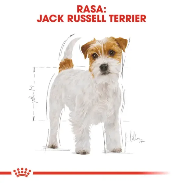 BHN JACK RUSSEL ADULT5 Royal Canin Jack Russell Adult Dry Food