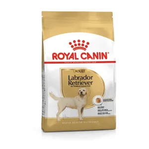 BHN LABRADOR ADULT1 Royal Canin Labrador Retriever Adult Dry Food