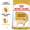 Royal Canin Labrador Retriever Adult Dry Food