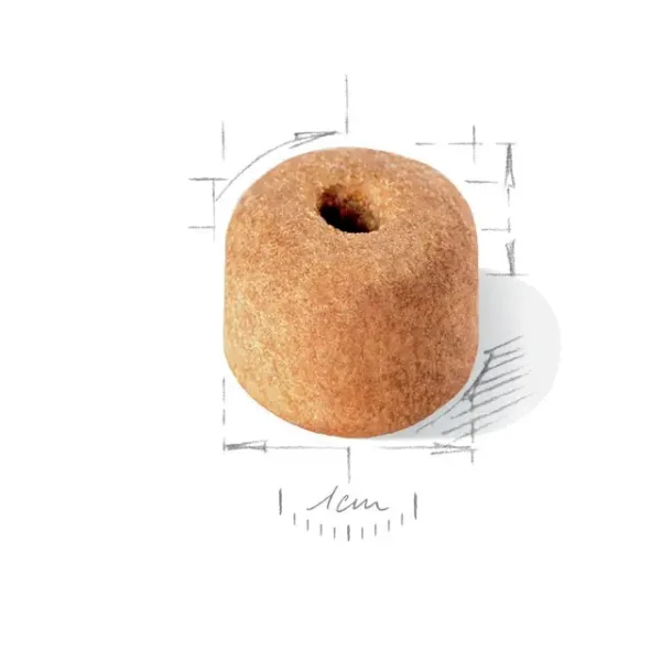 Royal Canin Labrador Retriever Adult Dry Food