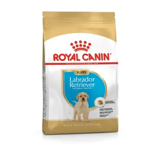 BHN LABRADOR JUNIOR1 Royal Canin Labrador Retriever Puppy Dry Food