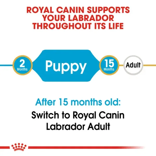 Royal Canin Labrador Retriever Puppy Dry Food