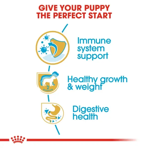 Royal Canin Labrador Retriever Puppy Dry Food