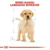 Royal Canin Labrador Retriever Puppy Dry Food