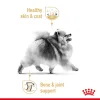 Royal Canin Pomeranian Adult Dry Food