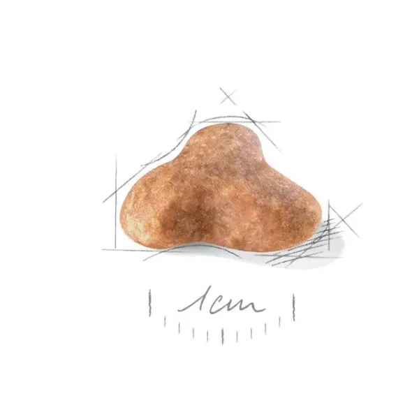 Royal Canin Pug Adult Dry Food