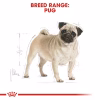 Royal Canin Pug Adult Dry Food