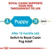 BHN PUG JUNIOR5 Royal Canin Pug Junior Dry Food