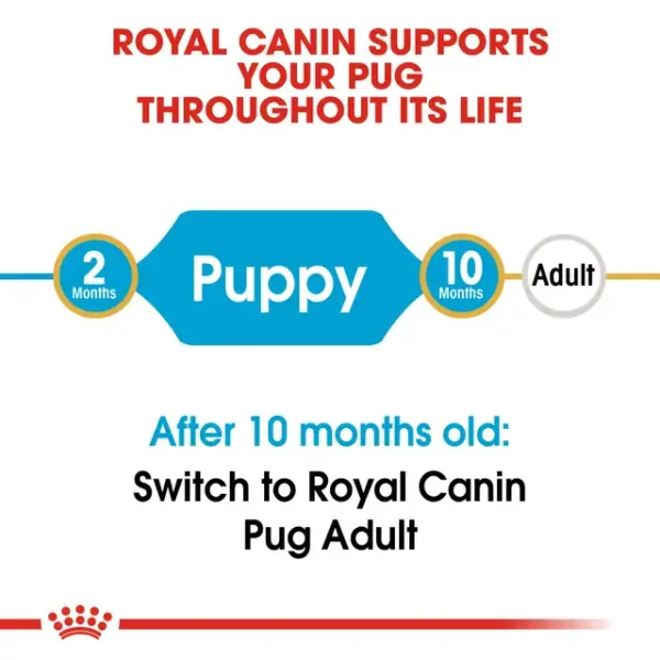 BHN PUG JUNIOR5 Royal Canin Pug Junior Dry Food