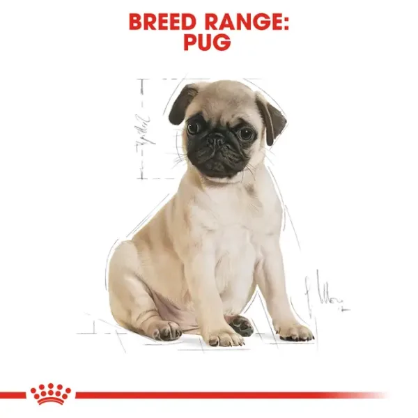 BHN PUG JUNIOR8 Royal Canin Pug Junior Dry Food