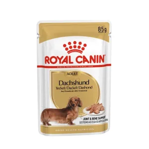 BHN WET DACHSHUND1 Royal Canin Dachshund Wet Food
