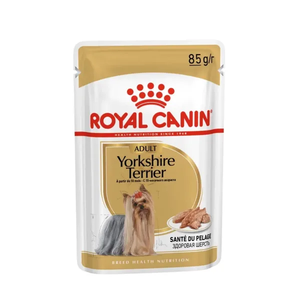 BHN WET YORKSHIRE1 Royal Canin Yorkshire Terrier Wet Food