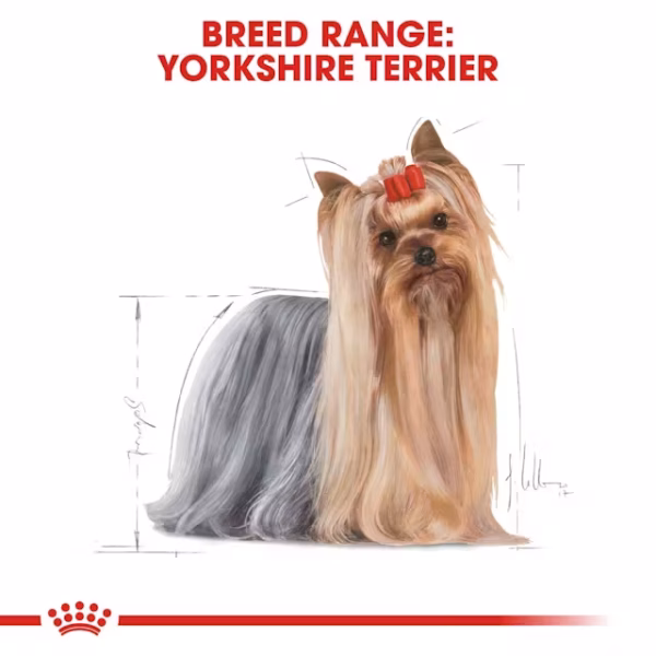 BHN WET YORKSHIRE5 Royal Canin Yorkshire Terrier Wet Food