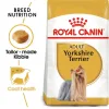 Royal Canin Yorkshire Terrier Adult Dry Food
