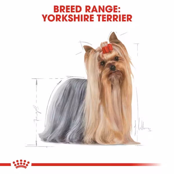 Royal Canin Yorkshire Terrier Adult Dry Food