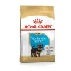 Royal Yorkshire Terrier Puppy Dry Food