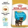 Royal Yorkshire Terrier Puppy Dry Food