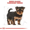 Royal Yorkshire Terrier Puppy Dry Food
