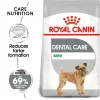 Royal Canin Mini Dental Care Dry Food
