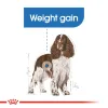Royal Canin Medium Light Weight Care Dry Food