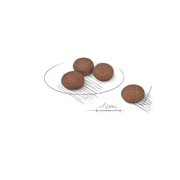 CCN MINI DIGESTIVE CARE3 Royal Canin Mini Digestive Care Dry Food